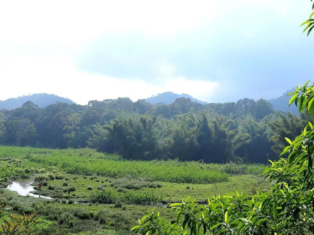 Safariya Forest Inn Thekkady Hotel